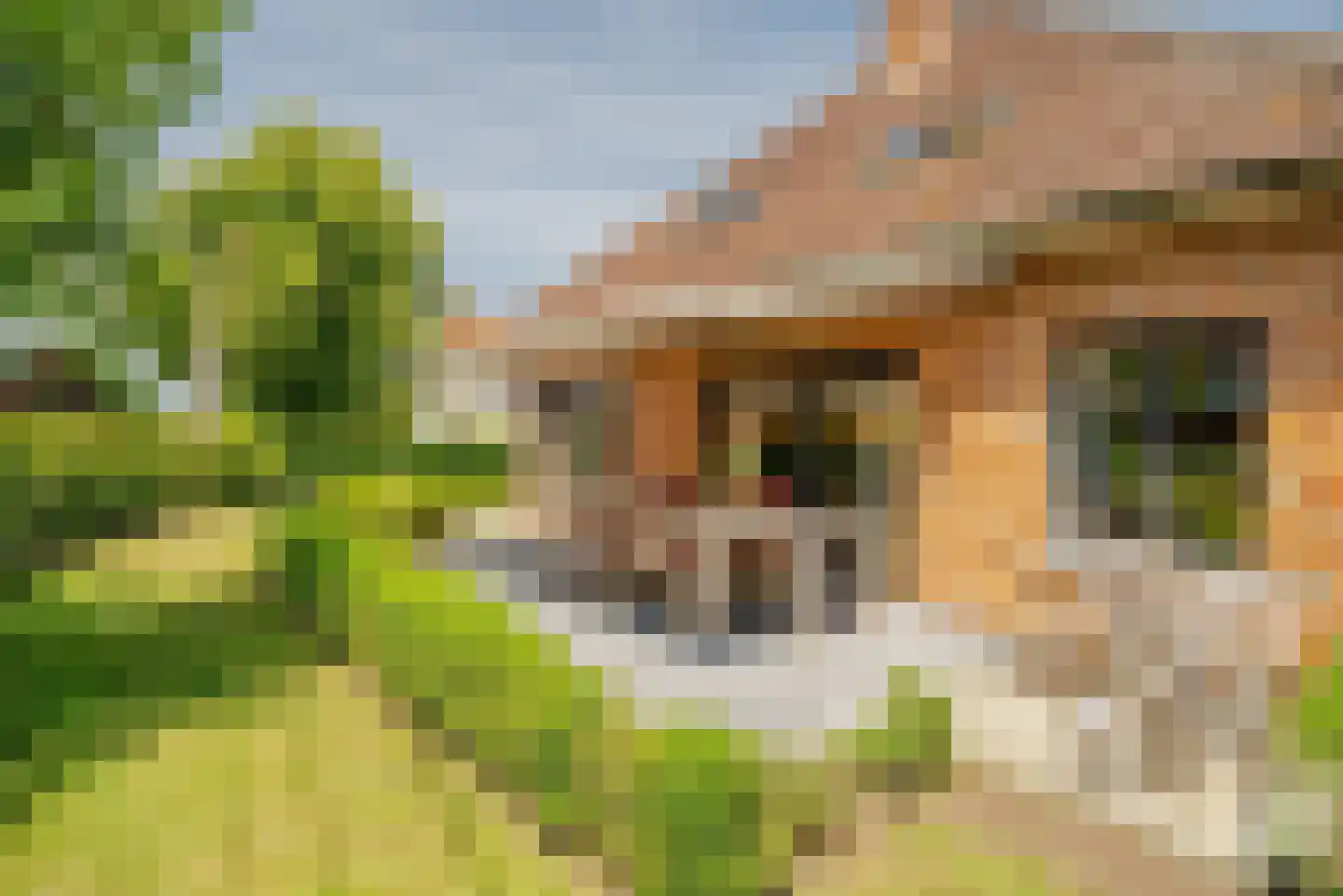 Blikstraat 14 Hardinxveld-Giessendam thumbnail 5