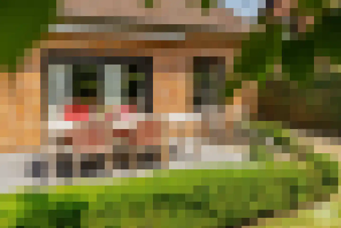 Blikstraat 14 Hardinxveld-Giessendam thumbnail 6