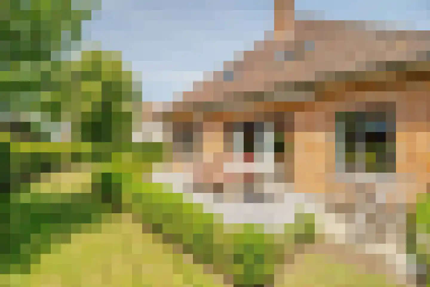 Blikstraat 14 Hardinxveld-Giessendam thumbnail 7