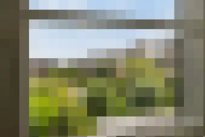 Blikveld 32 Maassluis thumbnail 25