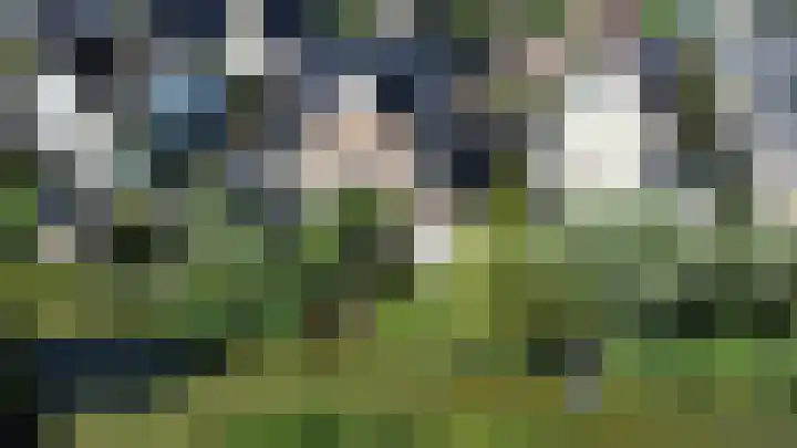 Blikveld 32 Maassluis thumbnail 46