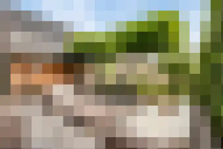 Blikveld 32 Maassluis thumbnail 47