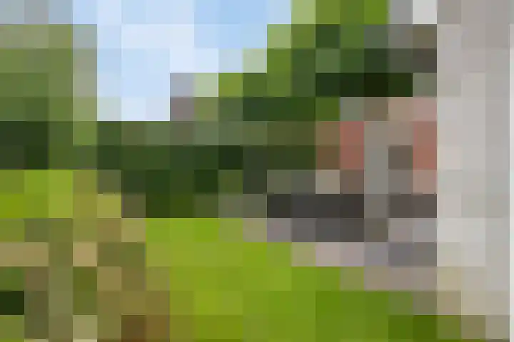 Blikveld 32 Maassluis thumbnail 49