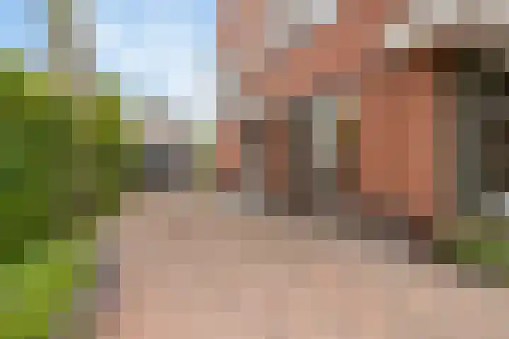 Blikveld 32 Maassluis thumbnail 54