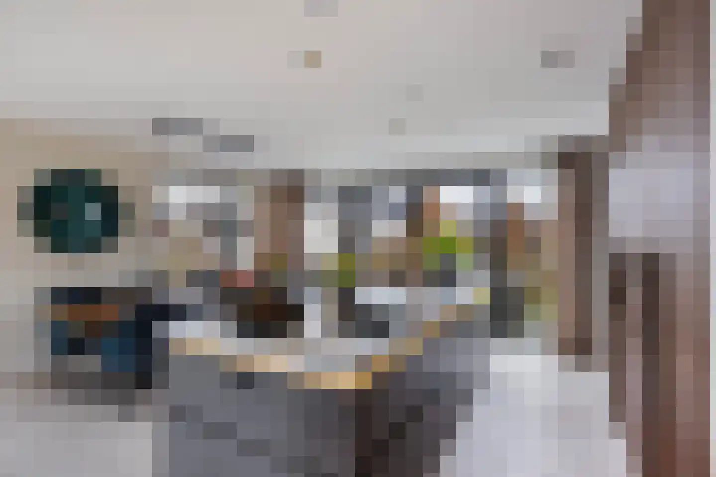 Blikveld 52 Maassluis thumbnail 10
