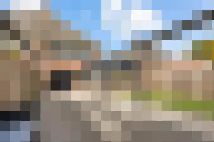 Blikveldweg 11 Almere thumbnail 18