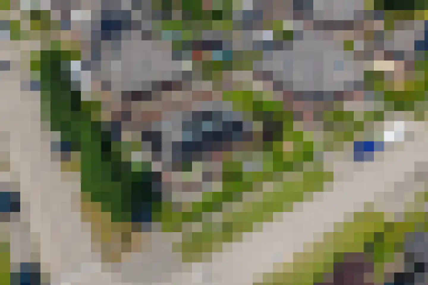 Blikveldweg 19 Almere thumbnail 35