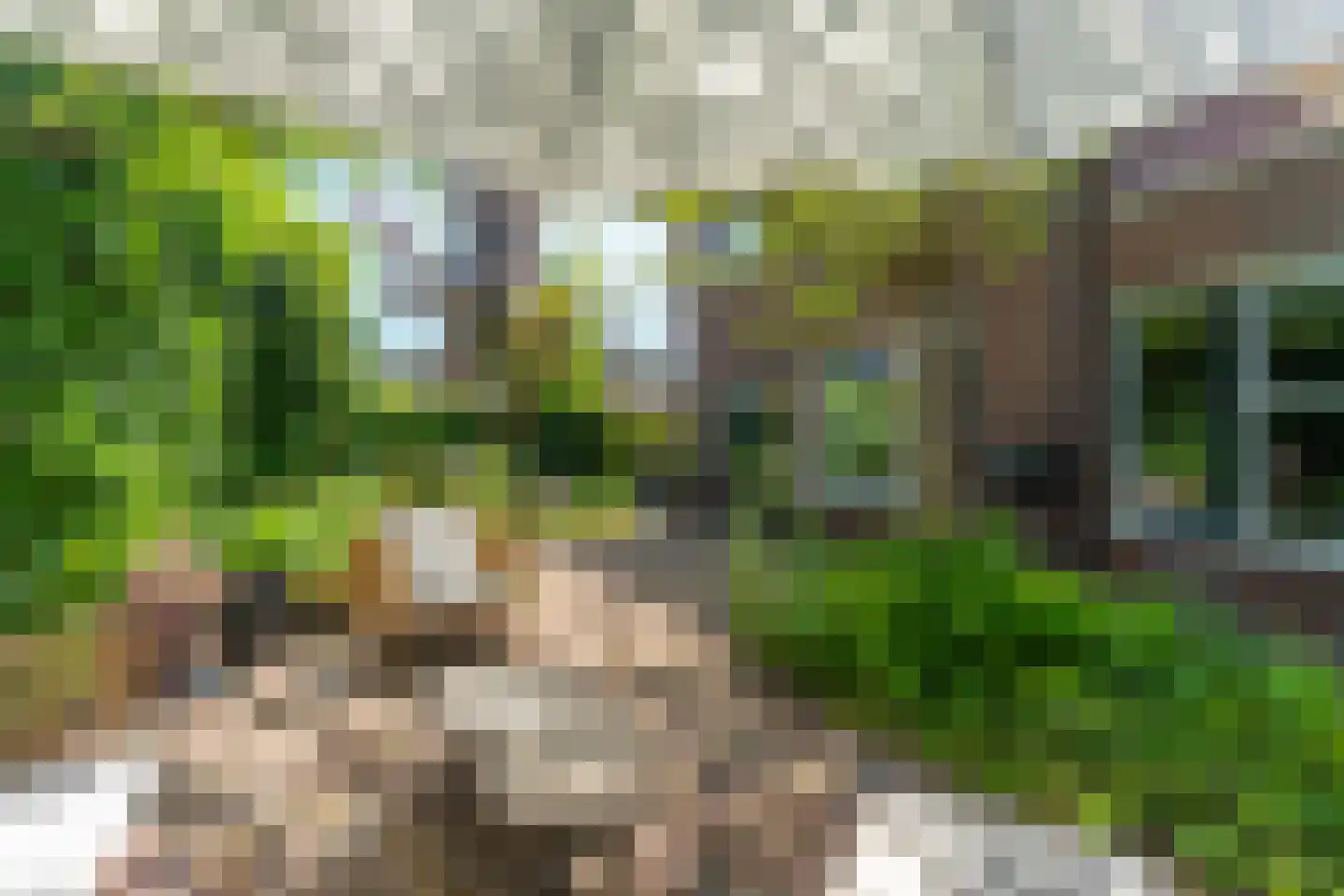 Blikveldweg 19 Almere thumbnail 65
