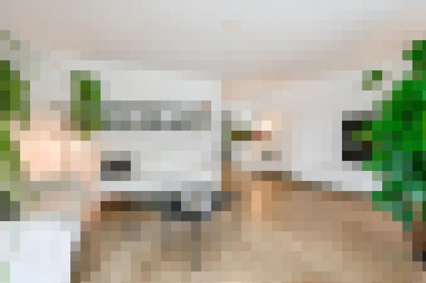 Blikveldweg 31 Almere thumbnail 11