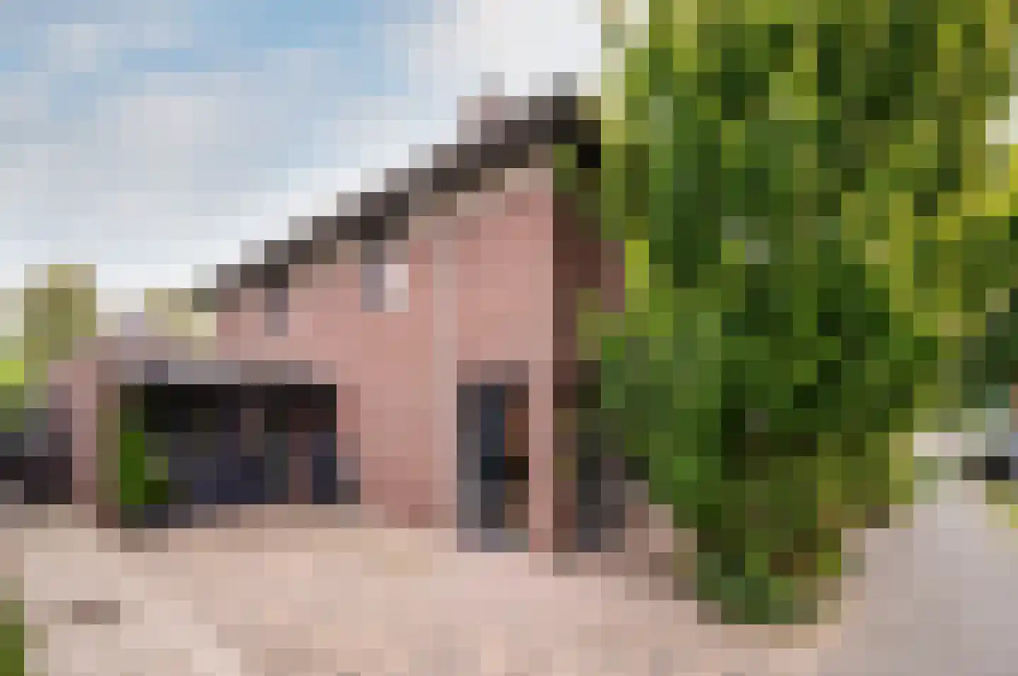Blikveldweg 31 Almere thumbnail 37
