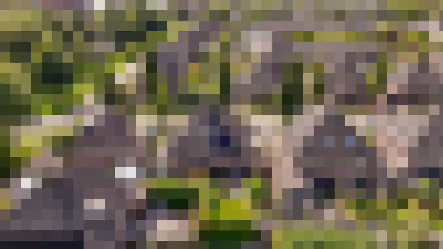 Blikveldweg 31 Almere thumbnail 42