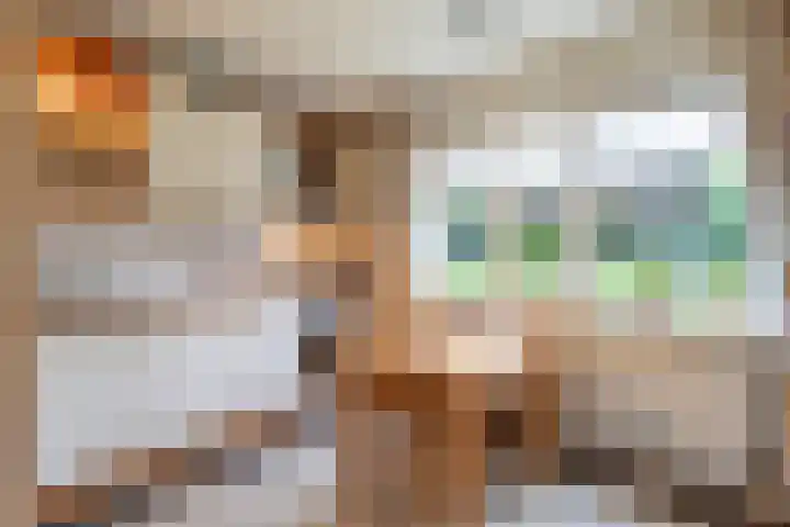 Blinde Banisweg 32 A Rijssen thumbnail 19