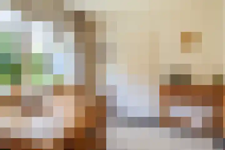 Blinde Banisweg 32 A Rijssen thumbnail 20