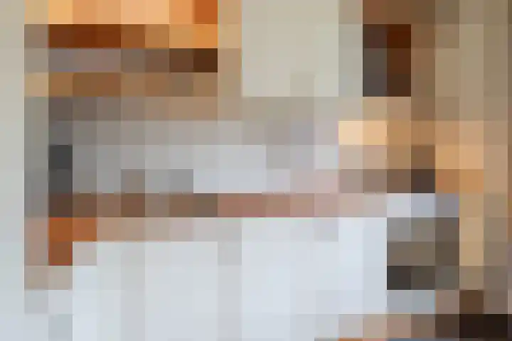 Blinde Banisweg 32 A Rijssen thumbnail 22