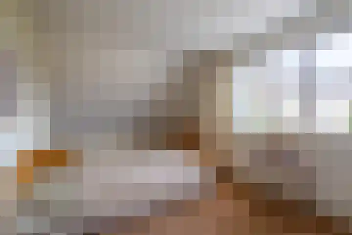 Blinde Banisweg 32 A Rijssen thumbnail 28