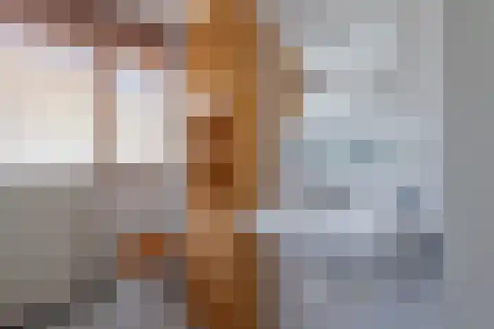 Blinde Banisweg 32 A Rijssen thumbnail 38
