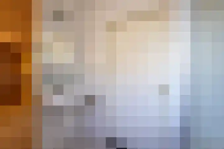 Blinde Banisweg 32 A Rijssen thumbnail 40