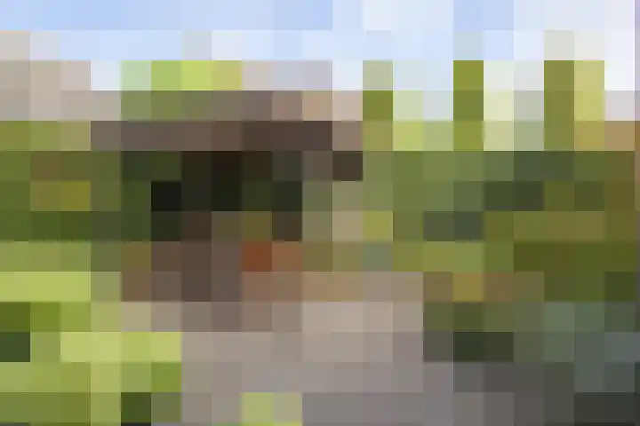 Blinde Banisweg 32 A Rijssen thumbnail 42