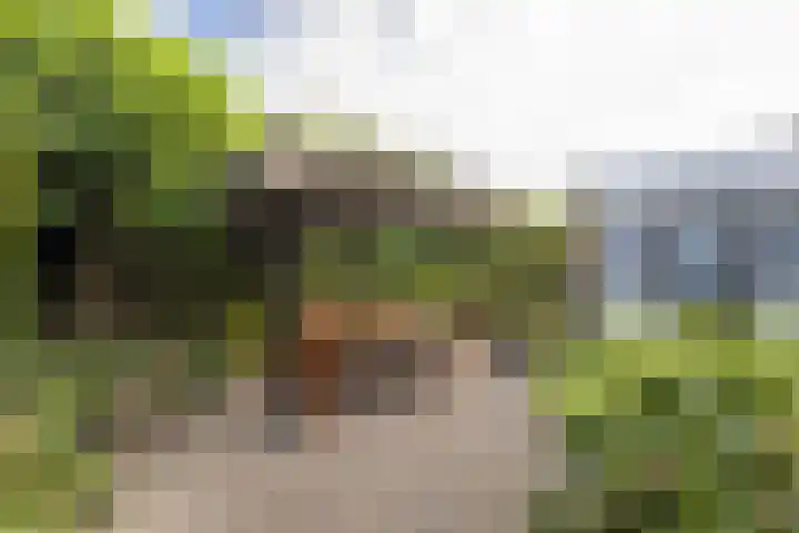 Blinde Banisweg 32 A Rijssen thumbnail 44