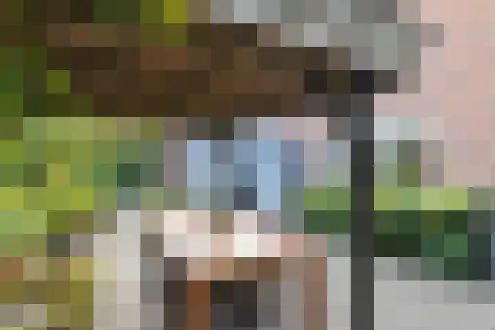 Blinde Banisweg 32 A Rijssen thumbnail 46