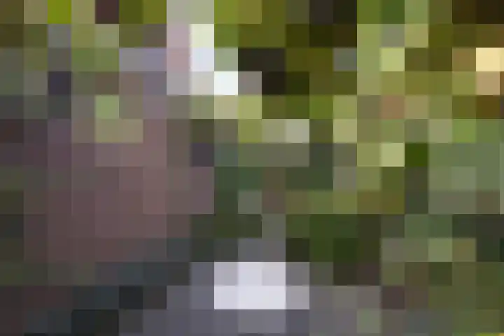 Blinde Banisweg 32 A Rijssen thumbnail 48