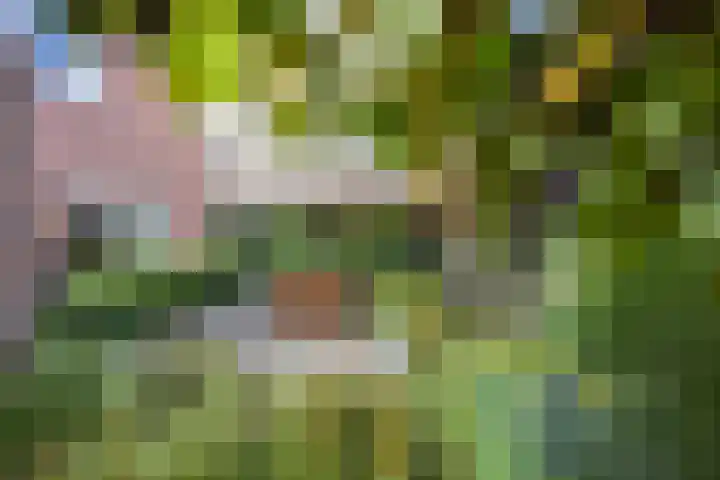 Blinde Banisweg 32 A Rijssen thumbnail 49