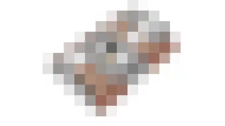 Blinde Banisweg 32 A Rijssen thumbnail 55