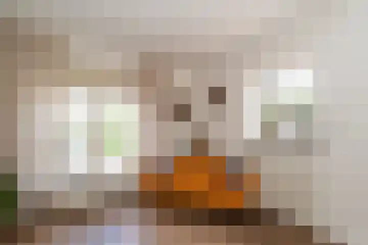 Blinde Banisweg 42 Rijssen thumbnail 11