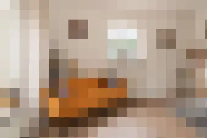 Blinde Banisweg 42 Rijssen thumbnail 12