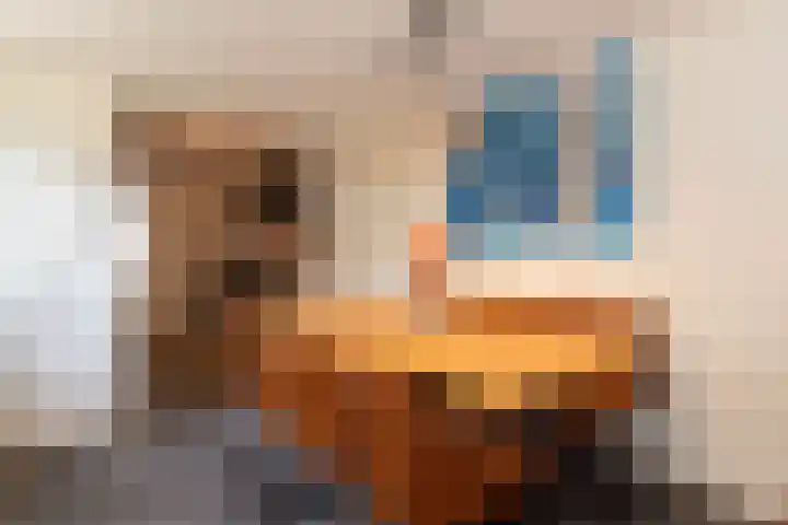 Blinde Banisweg 42 Rijssen thumbnail 13