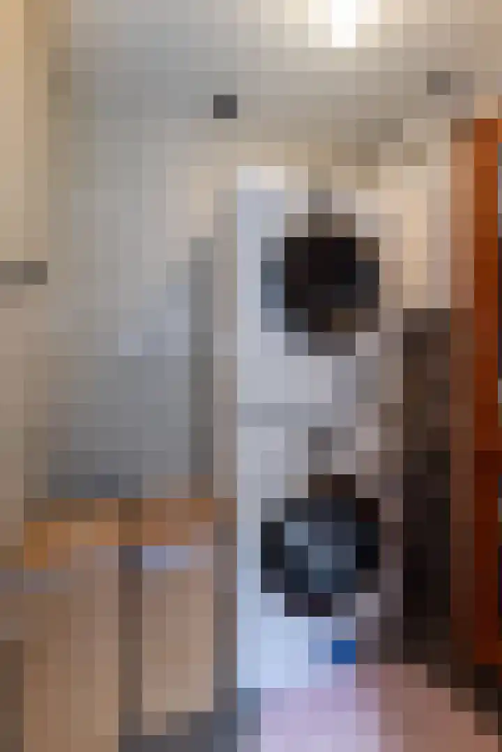 Blinde Banisweg 42 Rijssen thumbnail 20