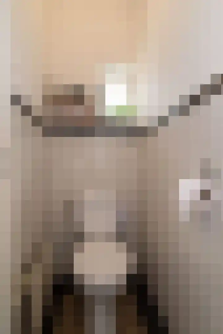 Blinde Banisweg 42 Rijssen thumbnail 27