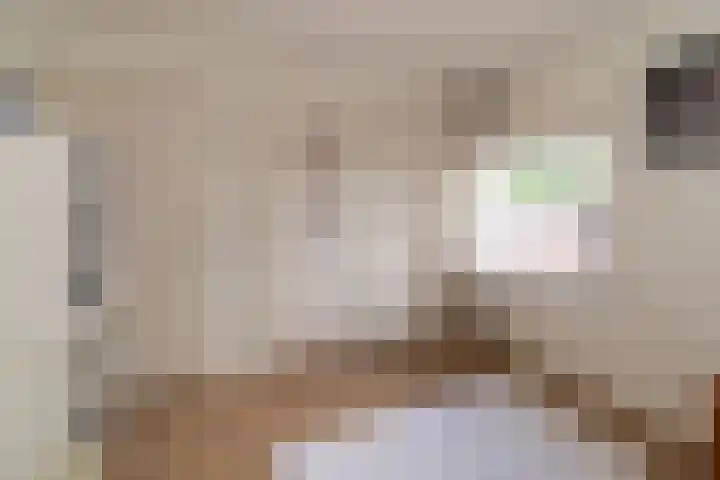 Blinde Banisweg 42 Rijssen thumbnail 29