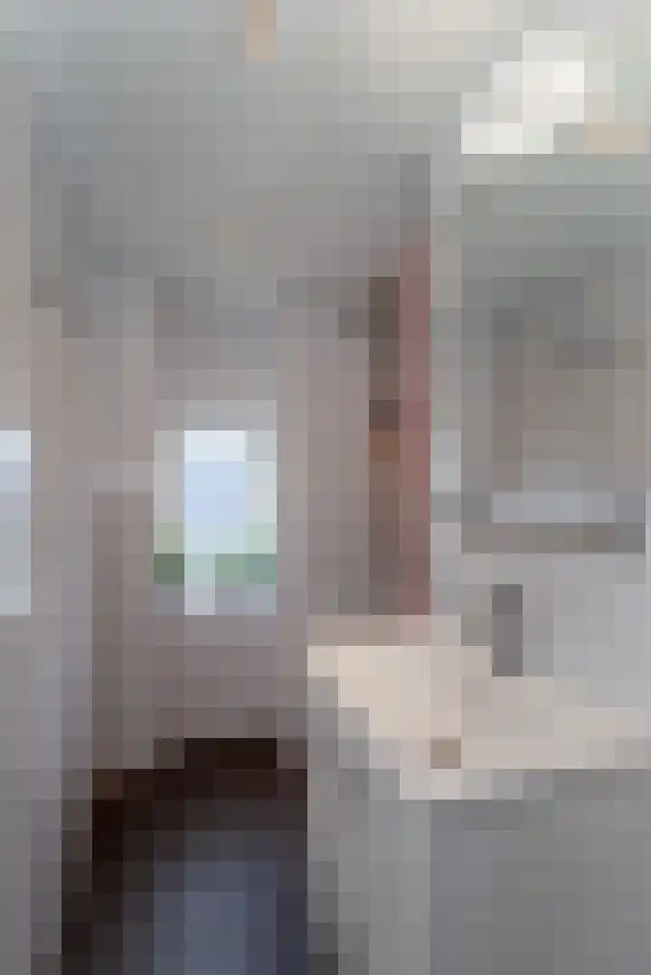 Blinde Banisweg 42 Rijssen thumbnail 32