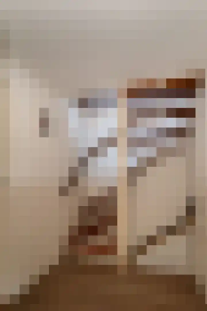 Blinde Banisweg 42 Rijssen thumbnail 33