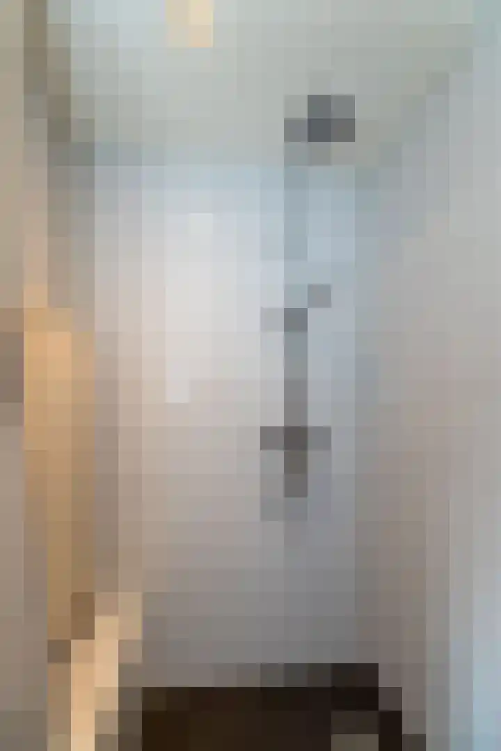 Blinde Banisweg 42 Rijssen thumbnail 34