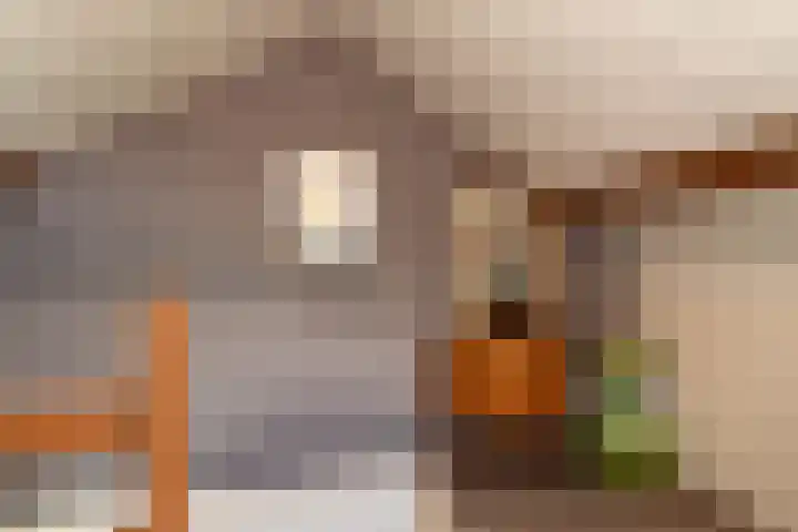 Blinde Banisweg 42 Rijssen thumbnail 36