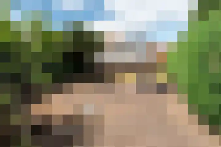 Blinde Banisweg 42 Rijssen thumbnail 40