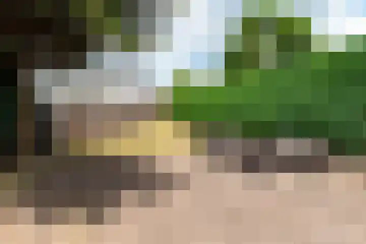 Blinde Banisweg 42 Rijssen thumbnail 41
