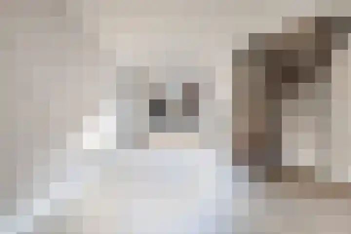 Blinkertsestraat 10 Helmond thumbnail 8