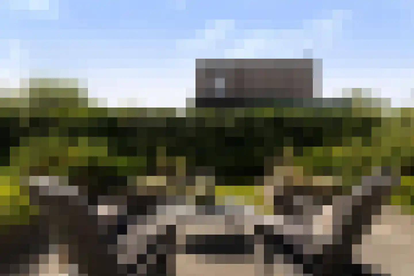 Blitsaerderleane 14 Leeuwarden thumbnail 33