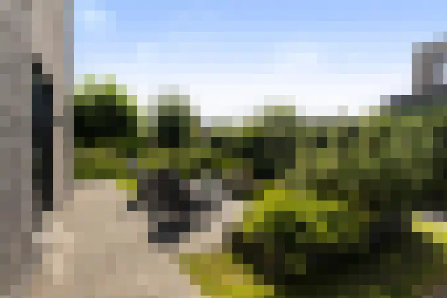 Blitsaerderleane 14 Leeuwarden thumbnail 34