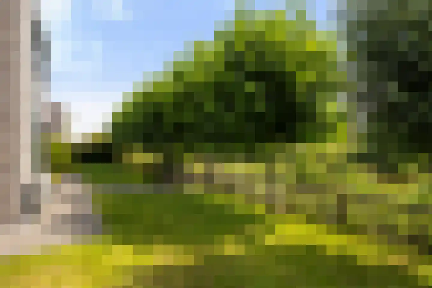 Blitsaerderleane 14 Leeuwarden thumbnail 35