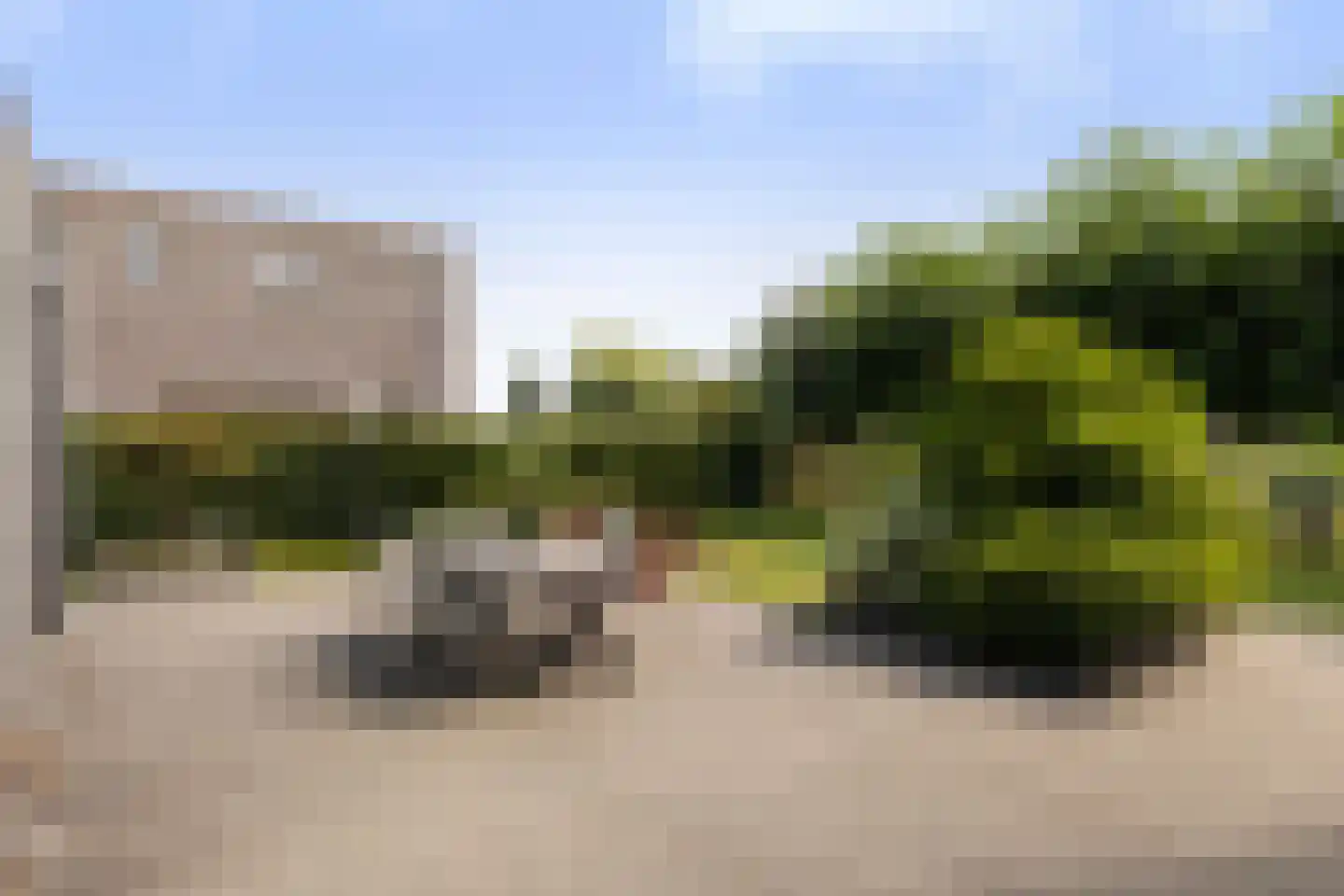 Blitsaerderleane 14 Leeuwarden thumbnail 39