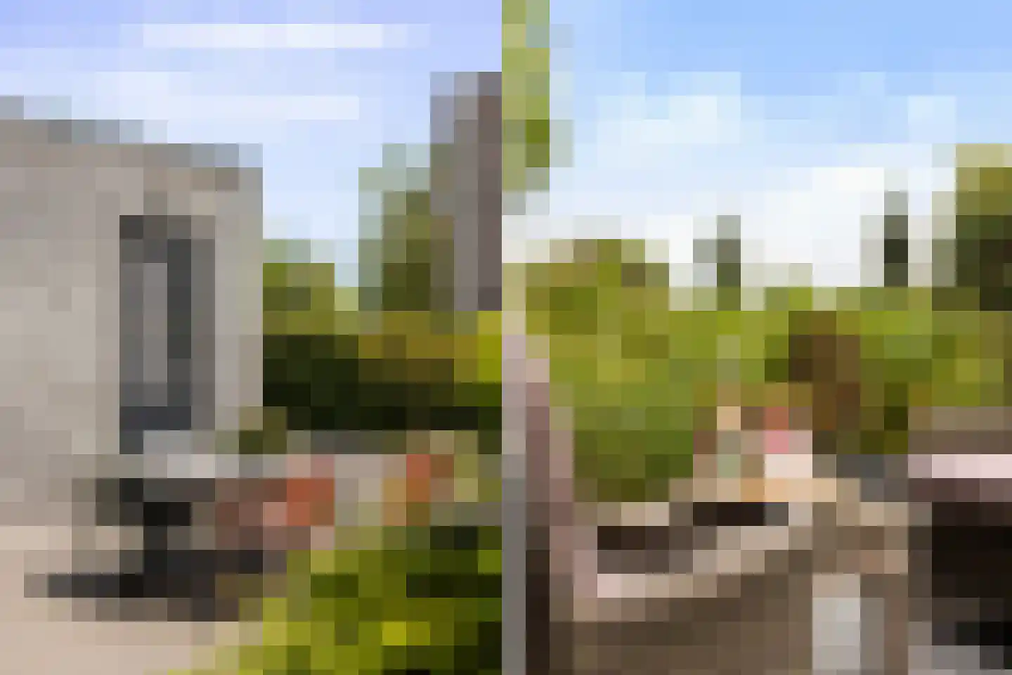 Blitsaerderleane 14 Leeuwarden thumbnail 43