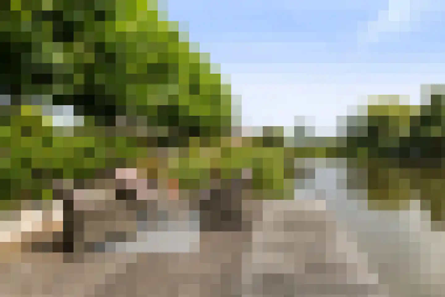 Blitsaerderleane 14 Leeuwarden thumbnail 46