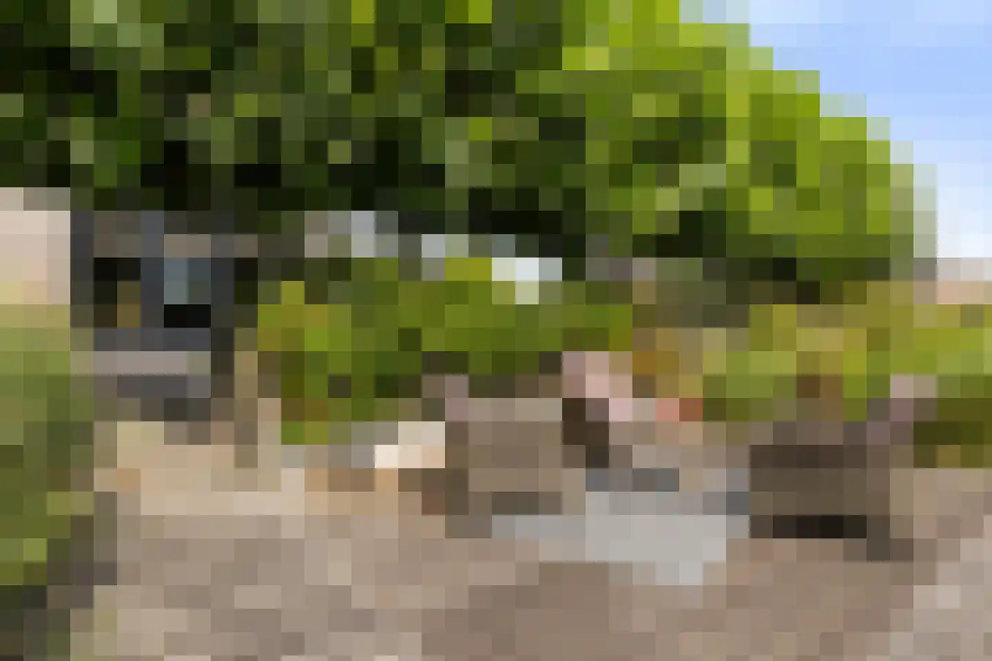 Blitsaerderleane 14 Leeuwarden thumbnail 47