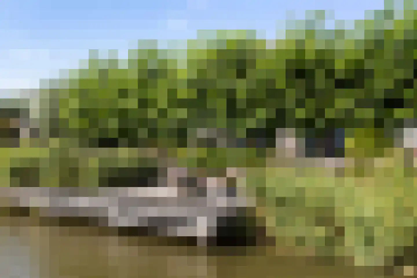 Blitsaerderleane 14 Leeuwarden thumbnail 49