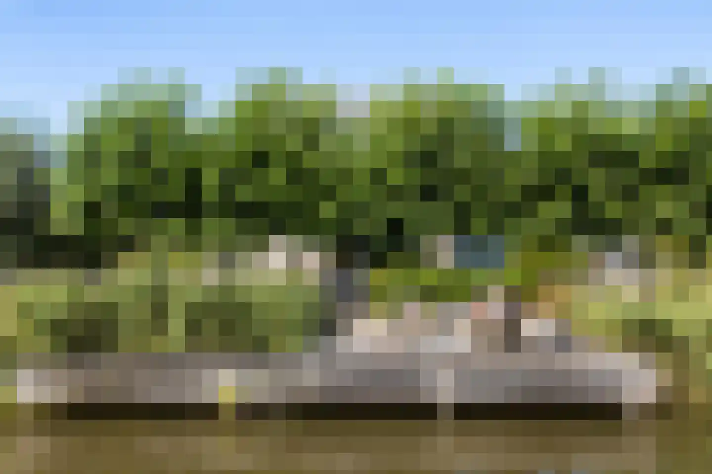 Blitsaerderleane 14 Leeuwarden thumbnail 50
