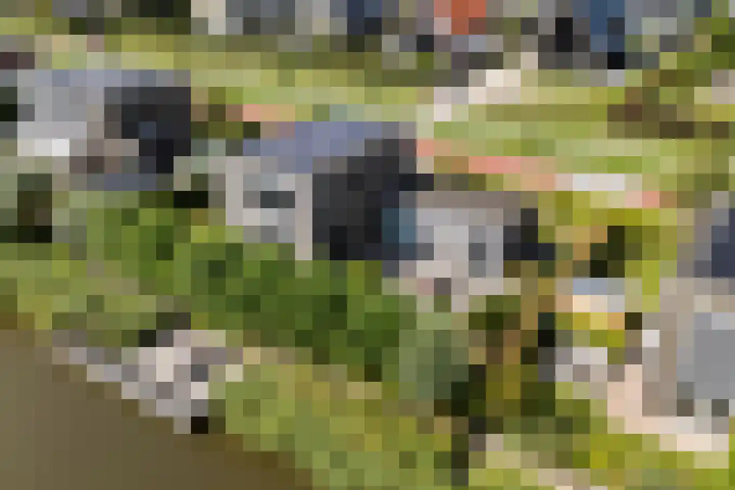 Blitsaerderleane 14 Leeuwarden thumbnail 51
